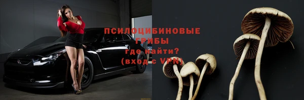 бошки Новозыбков
