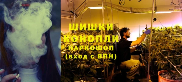 бошки Новозыбков