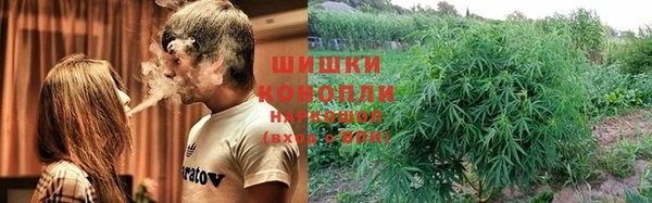ГАЛЛЮЦИНОГЕННЫЕ ГРИБЫ Нягань